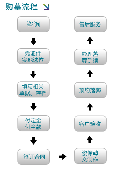 1502417783131842