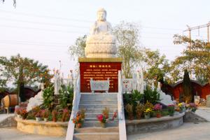 园区景观 (13)