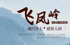 2021年汤阴飞凤岭陵园、新乡龙居山陵园十月初一寒衣节祭扫告客户书